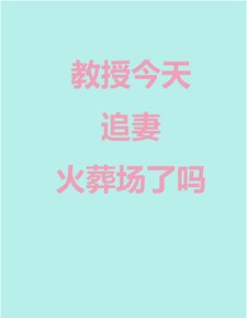 教授今天追妻火葬场了吗