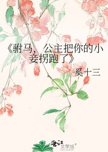 驸马,公主把你的小妾拐跑了