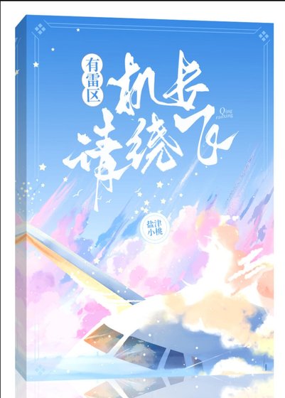 有雷区,机长请绕飞