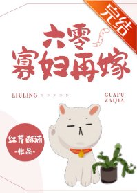 《六零寡妇再嫁》