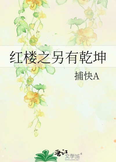 红楼之另有乾坤