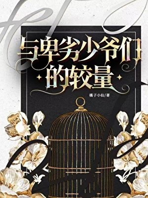 《与卑劣少爷们的较量》
