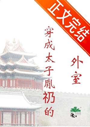 穿成太子胤礽的外室