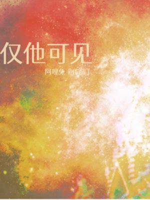 《仅他可见》