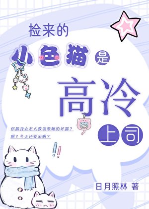 捡来的小色猫是高冷上司