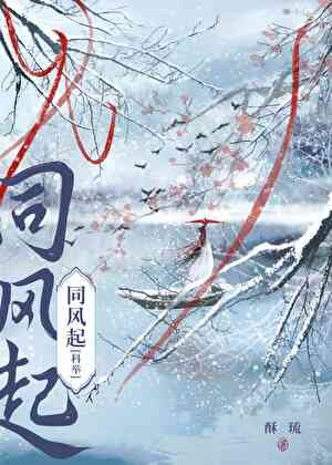 《穿书女配,但考科举》