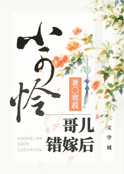 《小可怜哥儿错嫁后》