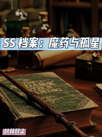 《SS档案:魔药与孤星》