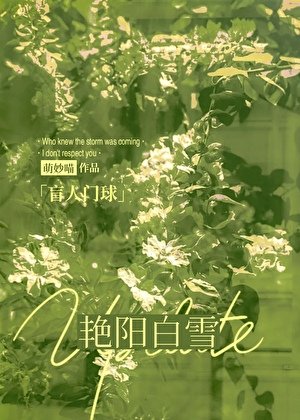 艳阳白雪[盲人门球]