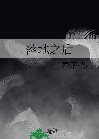 落地之后
