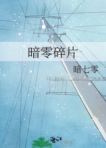 《暗零碎片》