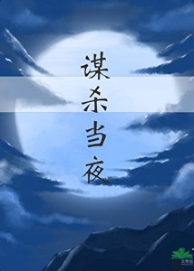 《谋杀当夜》