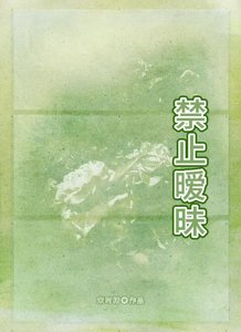 《禁止暧昧》