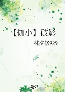 《【伽小】破影》