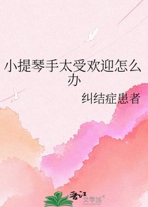 《小提琴手太受欢迎怎么办》
