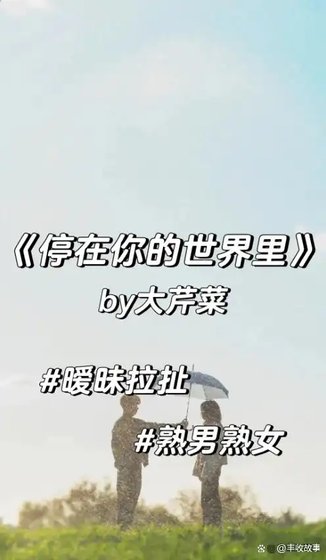 《停在你的世界里》