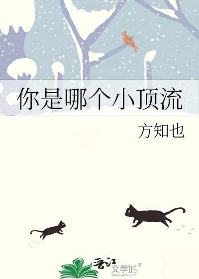 《你是哪个小顶流》