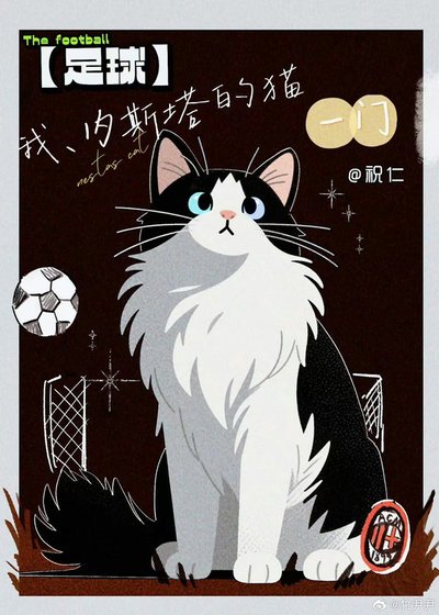 【足球】我，内斯塔的猫，一门