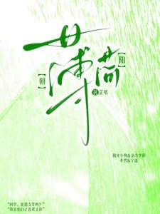 《朝阳薄荷》