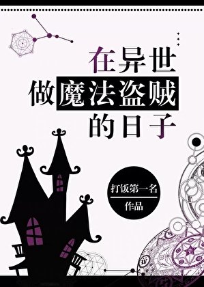 《在异世做魔法盗贼的日子》