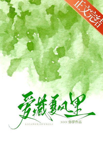 爱藏夏风里