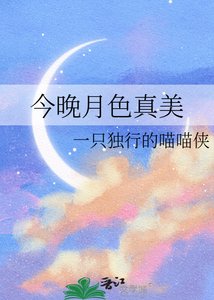 《今晚月色真美》