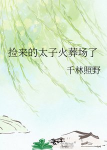 捡来的太子火葬场了