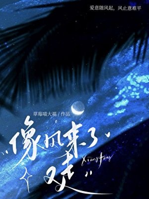 《像风来了又走》