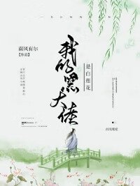 《我的黑大佬是白莲花》