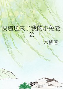 《快递送来了我的小兔老公》