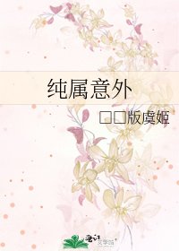 《纯属意外》