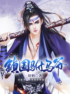 《镇国驸马爷》