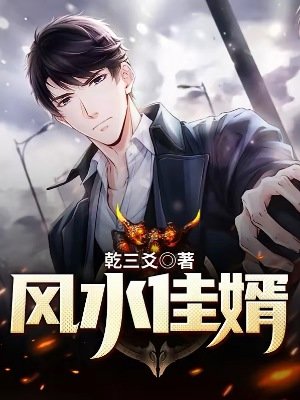 《风水佳婿》