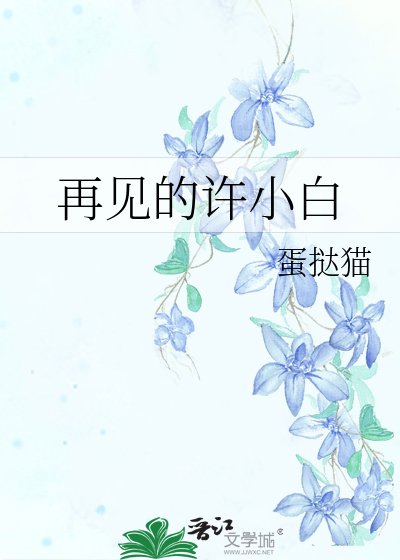 《再见的许小白》