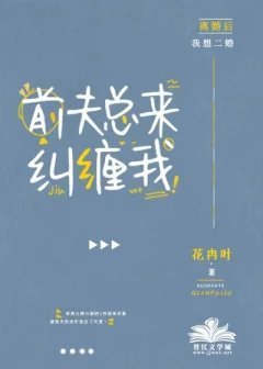 《和揍敌客离婚后一直被纠缠怎么办》