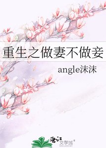 《重生之做妻不做妾》