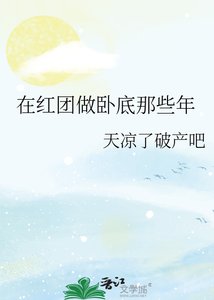 (海贼王同人)在红团做卧底那些年