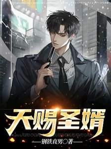 《天赐圣婿》