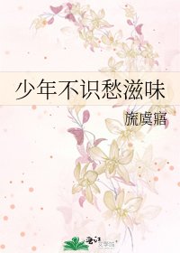 《少年不识愁滋味》