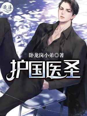 《护国医圣》