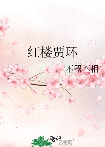 《红楼贾环》