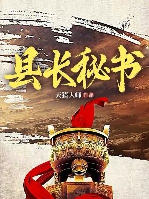 《县长秘书》