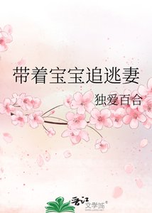 《带着宝宝追逃妻》
