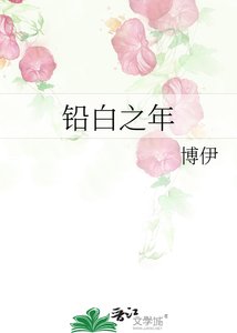 铅白之年