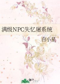 《满级NPC失忆屠系统》