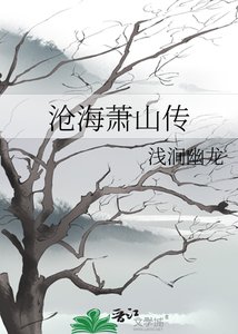 《沧海萧山传》