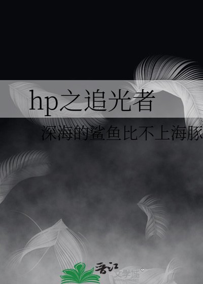hp之追光者