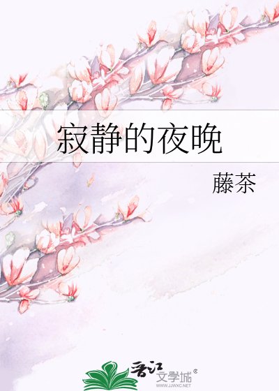 寂静的夜晚