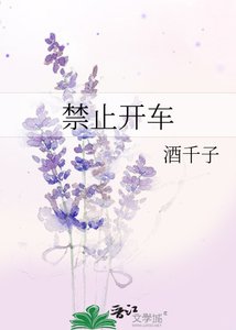《禁止开车》