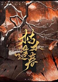 《枯木逢春》